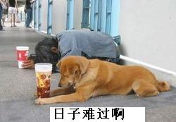 日子难过.jpg