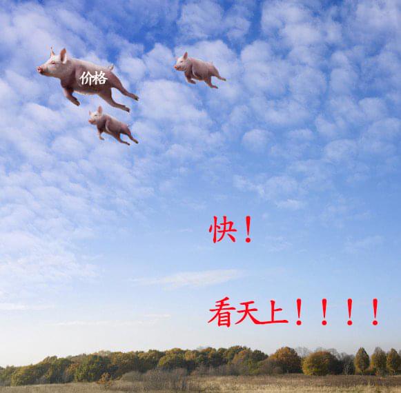 不锈钢圆管价格在天上飞.jpg